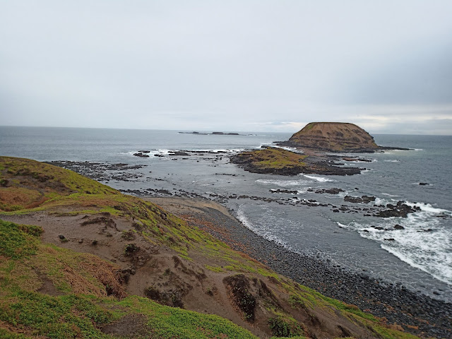 View of the Nobbies Round Island