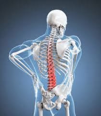 http://www.gohealth.in/treatment/spine-surgery/spine-conditions/