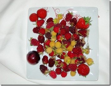DSCN3932