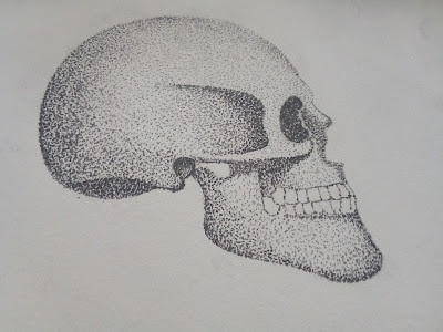 skull