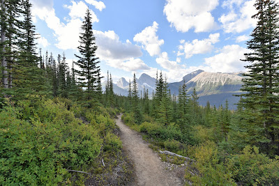 Rocky Mountain trek TCT.