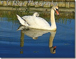 IMG_2431