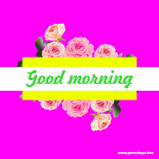 image contains good morning message with flowers