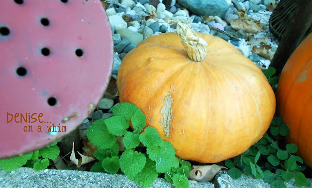 pumpkins, autumn, decor