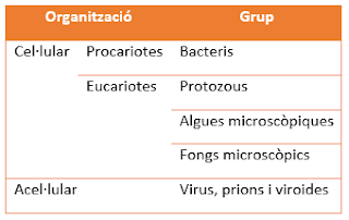 Classificació dels microorganismes.