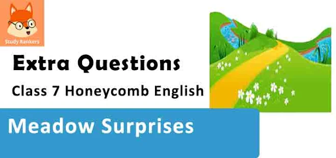 Meadow Surprises Poem Important Questions Class 7 Honeycomb English