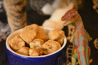 dog food and dinosaurs