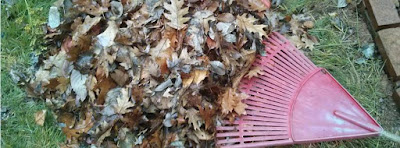 pile of leaves with rake