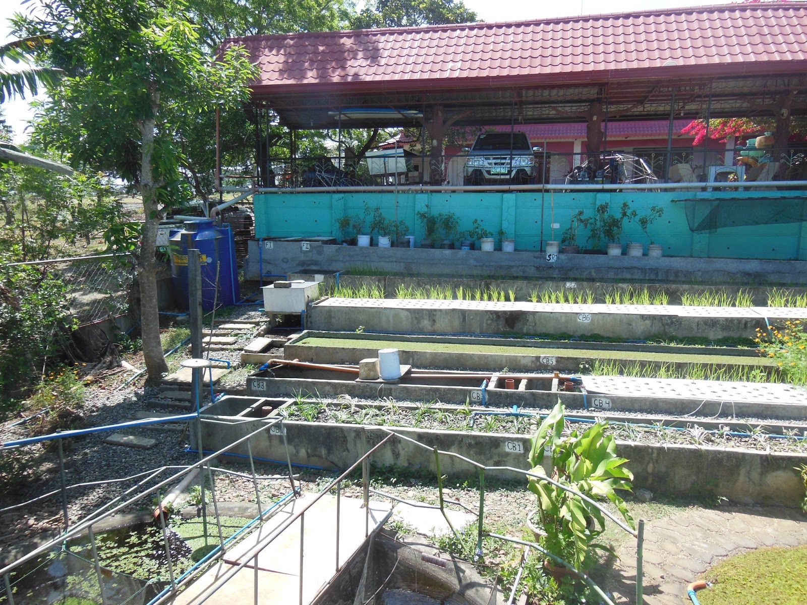 Aquaponic Urban Vertical Garden Philippines - Garden Ftempo