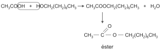 b) ácido carboxílico de 2 átomos de carbono: CH3COOH