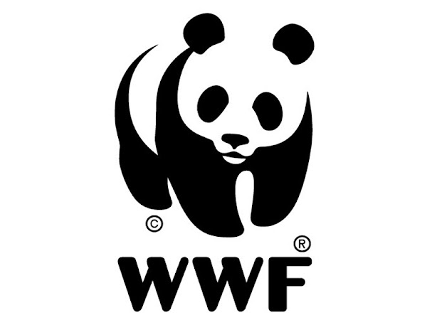 WWF