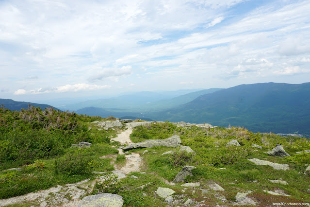 Zona Alpina en Mount Washington, New Hampshire