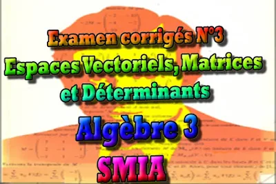 SMIA, SMIA S2 Analyse 3, systèmes linéaires, méthode de Gauss, espaces vectoriels, Matrices, Déterminant, cours gratuit, cours de maths gratuit, cours en ligne gratuit, cours de physique, cours gratuit en ligne, telecharger gratuitement, cours gratuit informatique.