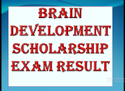  Brain Development Scholarship Exam Result