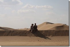 IMG_3765 (Medium)