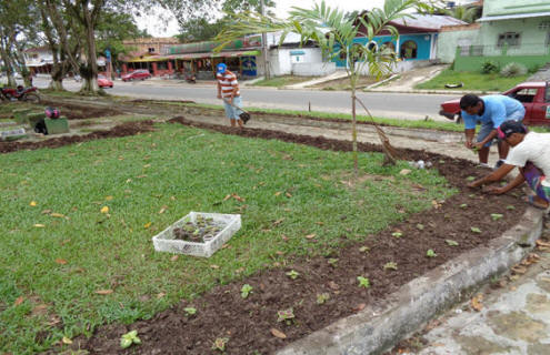 #Tabatinga-AM - Praça da Igreja Matriz ganha nova arborização