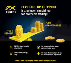 Exness: A Closer Look at a Leading Online Broker