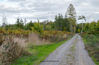 Naturfotografie Waldfotografie Weserbergland Olaf Kerber