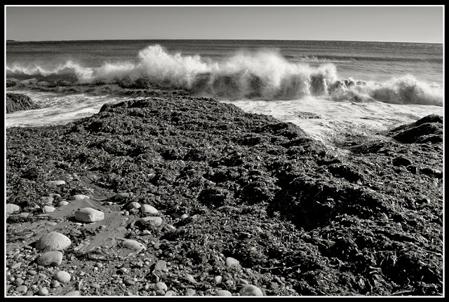 Nova Scotia; Hirtle's Beach