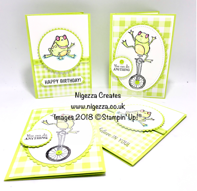 Stampin' Up! In Colours 2017-2019 Nigezza Creates