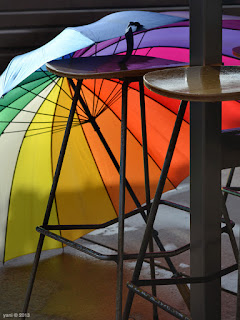 rainbow umbrella at circular quay