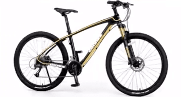 Eroade Carbon Fiber Mountain Bike