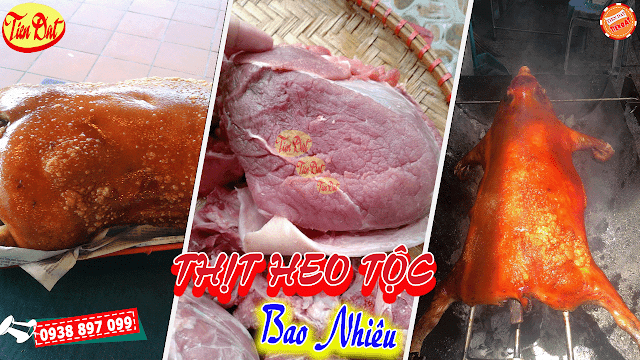 Thịt heo tộc hiện nay giá bao nhiêu