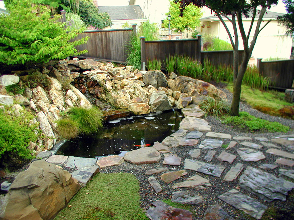 Koi Pond | Garden Landscape Design