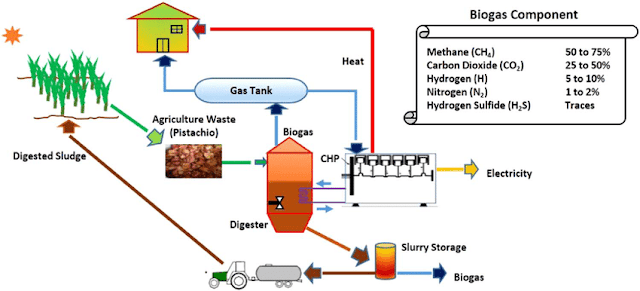 Generate Electricity From Biogas