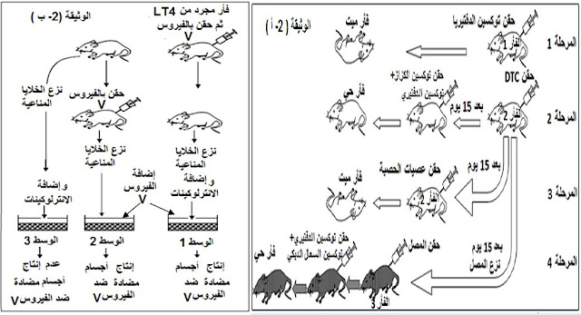 تمارين مع الحلول لوحدة دور البروتينات في الدفاع عن الذات للسنة الثالثة ثانوي