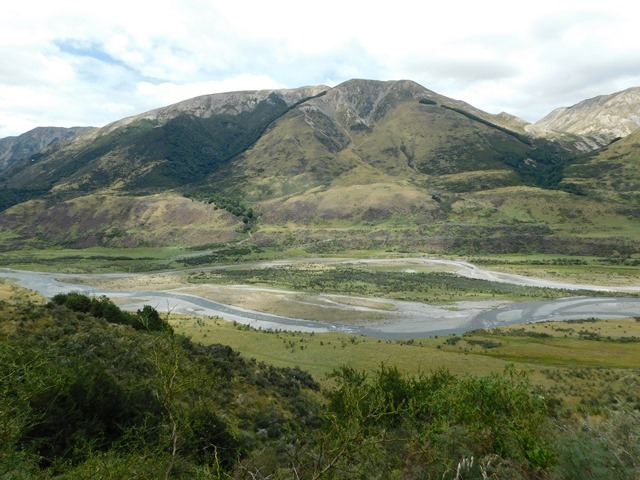 DSCN3491