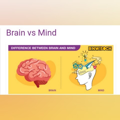 What is diffence between Brain and Mind ?