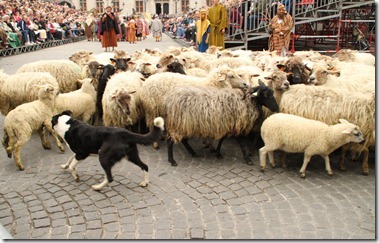 Heilig Bloedprocessie 2012