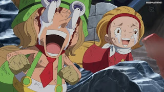 ワンピースアニメ ドレスローザ編 675話 小人族 Dwarves トンタッタ Tontatta | ONE PIECE Episode 675