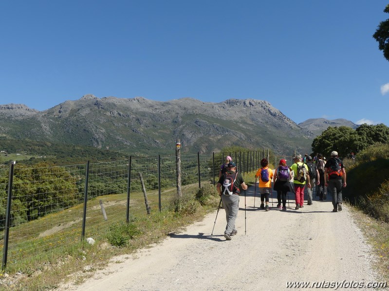 Estación de Cortes - Estación de Benaoján por el sendero del río Guadiaro