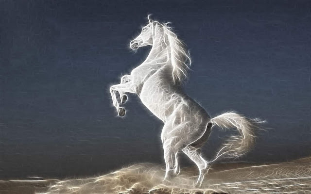 horse wallpaper download