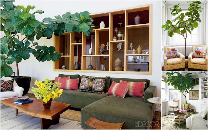 #12 Indoor Plant Decoration Ideas