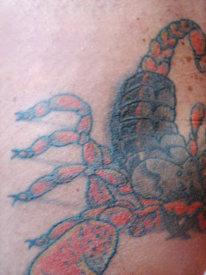 Great Scorpion Tattoos Pictures Designs