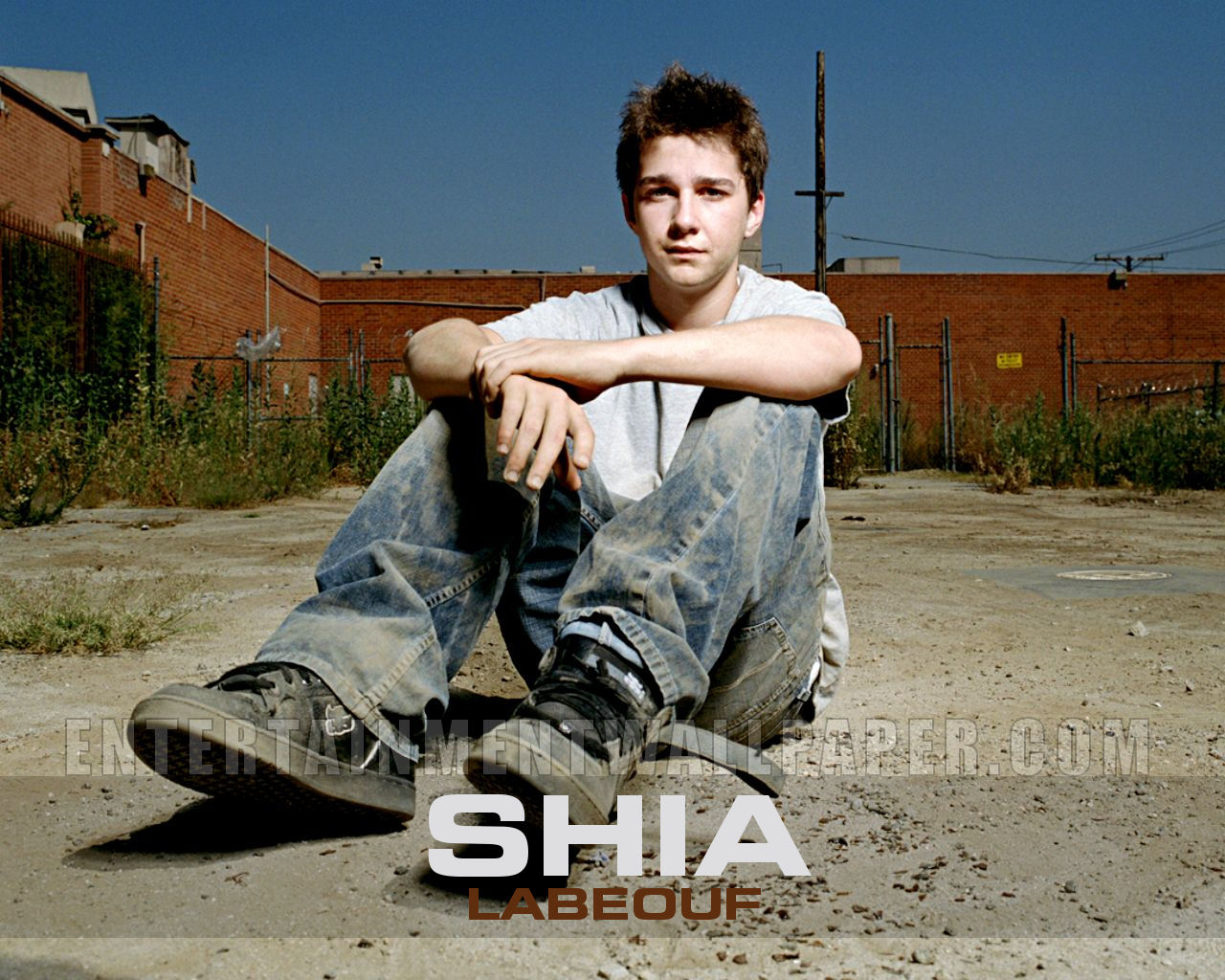 shia labeouf wallpapers,shia labeouf tranformers boy,shia labeouf ...