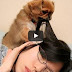 Cute dogs waking up owners