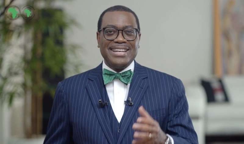 AfDB boss: Japanese businesses should invest more in Africa