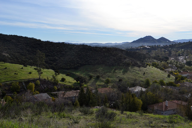 houses in the valley and chaparral on the hills