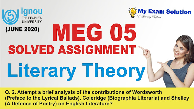 meg 05, meg literary theory assignment