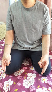 Pran Mudra and its benefits