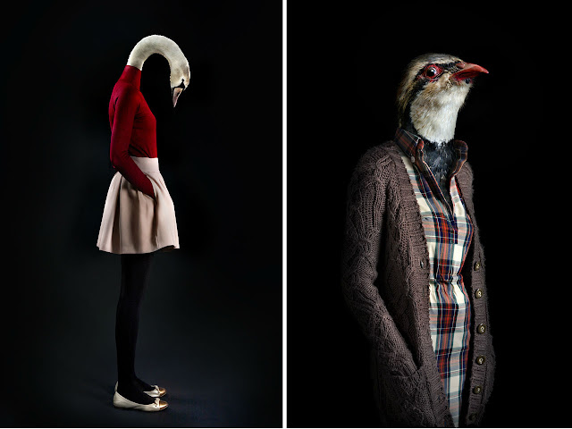 Clothes For Birds