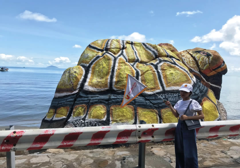 Hòn đá hình rùa tại đảo Hòn Sơn