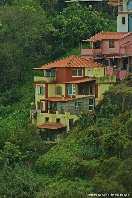 ESTRADA DA EIRA DO SERRADO - ILHA DA MADEIRA