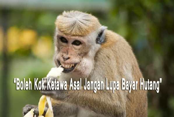 Kata Kata Bijak Lucu