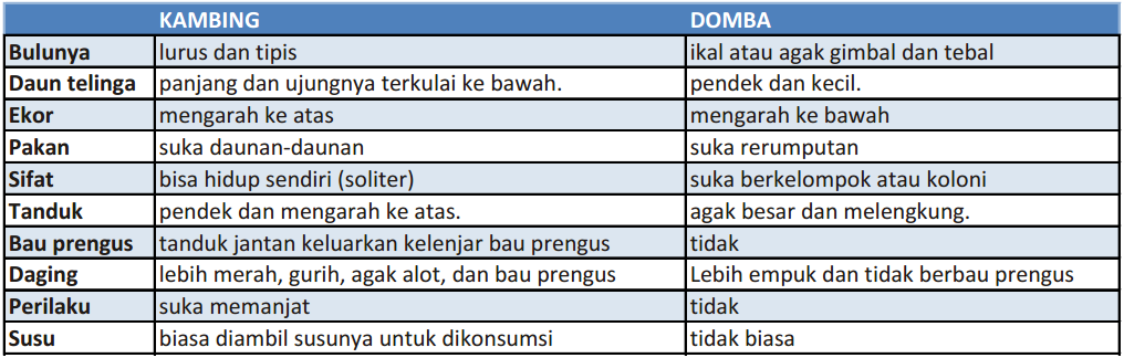 usaha ternak unggas paling menguntungkan