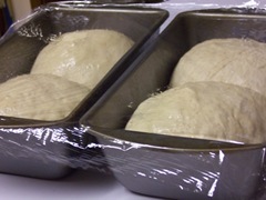 salt-rising-bread 025